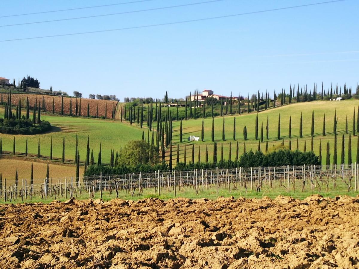 Castello Di Fulignano Ranuccio10 Superior Apartment San Gimignano Ngoại thất bức ảnh